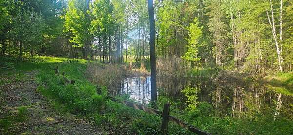 10 Acres of Recreational & Residential Land for Sale in Park Falls, Wisconsin