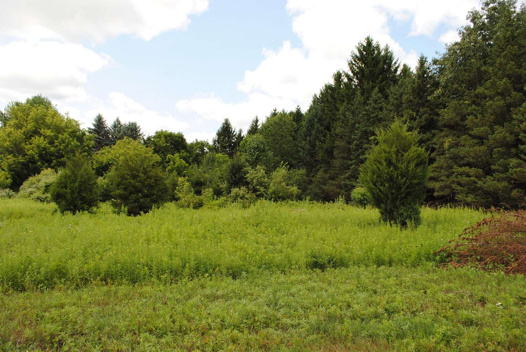 2.52 Acres of Residential Land for Sale in Dexter, Michigan