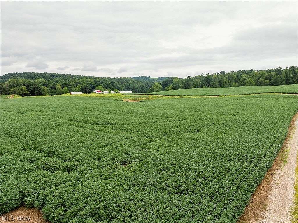 77.4 Acres of Agricultural Land for Auction in Lucas, Ohio