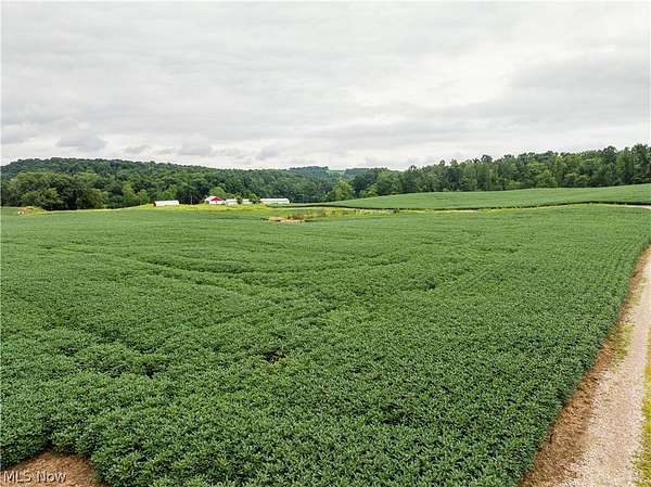 77.4 Acres of Agricultural Land for Auction in Lucas, Ohio