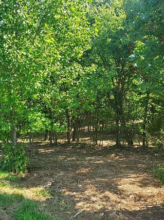0.57 Acres of Land for Sale in Chatsworth, Georgia