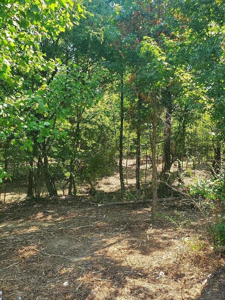 0.57 Acres of Land for Sale in Chatsworth, Georgia