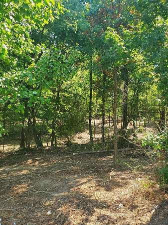 0.57 Acres of Land for Sale in Chatsworth, Georgia