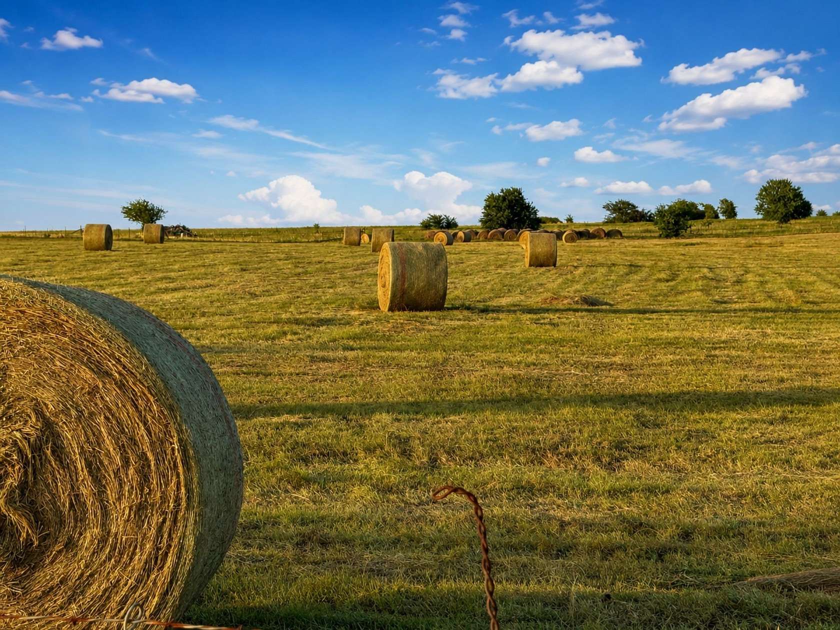 6 Acres of Residential Land for Sale in Decatur, Texas