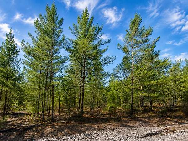 0.31 Acres of Residential Land for Sale in Interlachen, Florida