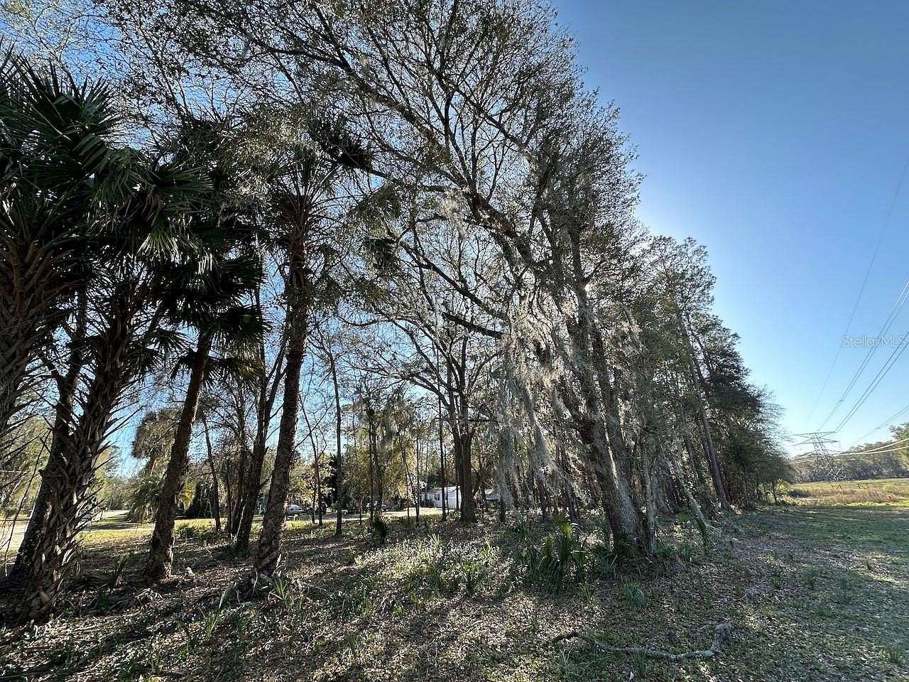 1 Acre of Residential Land for Sale in Fort McCoy, Florida
