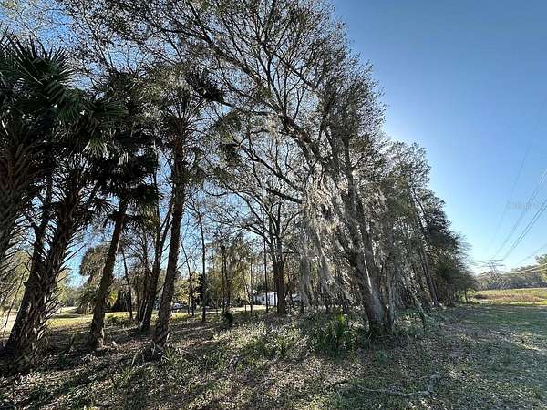 1 Acre of Residential Land for Sale in Fort McCoy, Florida