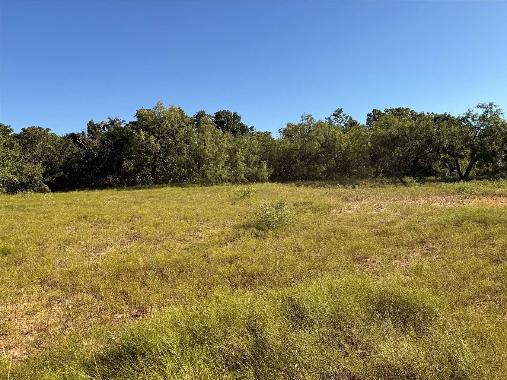 60 Acres of Land for Sale in Wingate, Texas