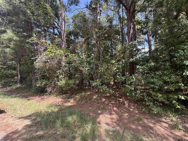 0.15 Acres of Residential Land for Sale in Bullard, Texas