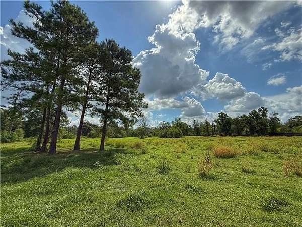 12 Acres of Recreational Land for Lease in Hammond, Louisiana