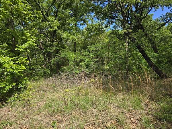 0.12 Acres of Residential Land for Sale in Gun Barrel City, Texas
