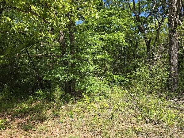 0.12 Acres of Residential Land for Sale in Gun Barrel City, Texas