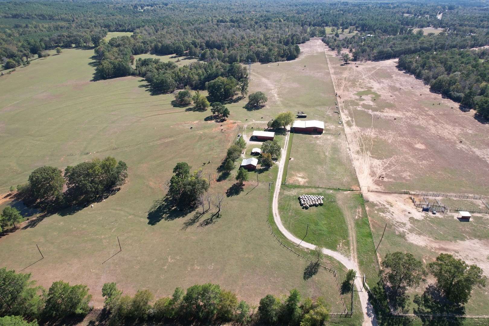 98 Acres of Land for Sale in Cushing, Texas