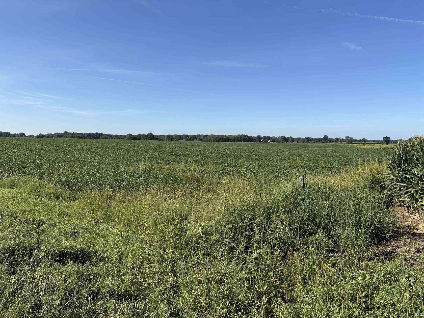 286 Acres of Land for Auction in Warren, Indiana