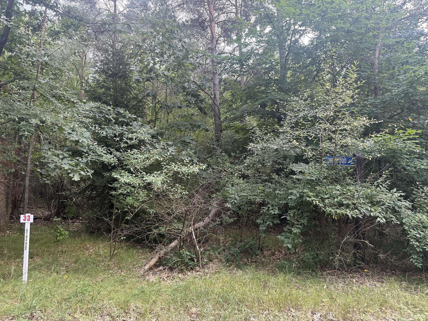 0.54 Acres of Land for Sale in Stanwood, Michigan