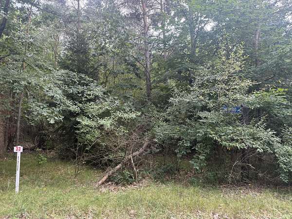 0.54 Acres of Land for Sale in Stanwood, Michigan