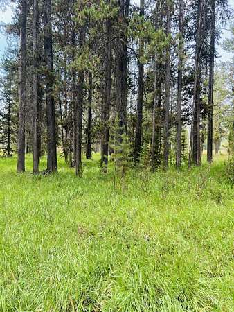 2.52 Acres of Land for Sale in Burgdorf, Idaho