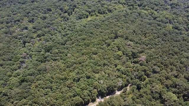 65 Acres of Land for Sale in Avery, Texas