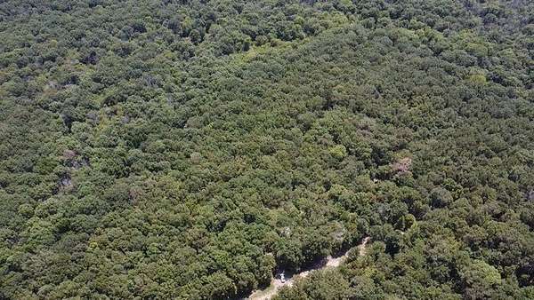 65 Acres of Land for Sale in Avery, Texas