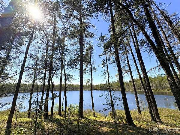40 Acres of Recreational Land for Sale in Gwinn, Michigan