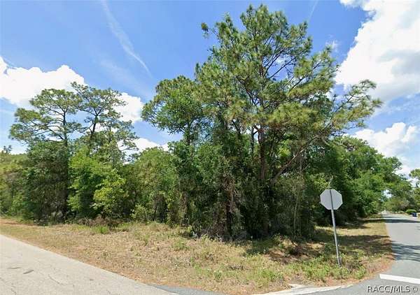 2 Acres of Residential Land for Sale in Floral City, Florida