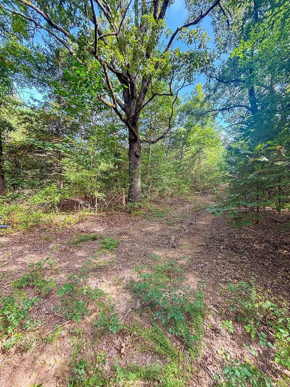 80 Acres of Recreational & Residential Land for Sale in Houston, Arkansas