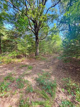 80 Acres of Recreational & Residential Land for Sale in Houston, Arkansas