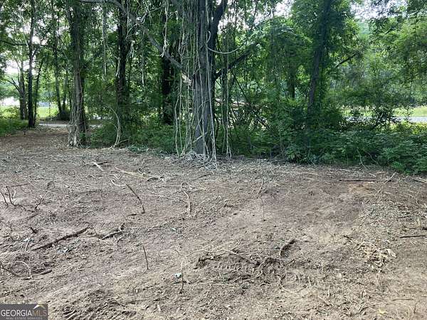 2.15 Acres of Residential Land for Sale in Warm Springs, Georgia