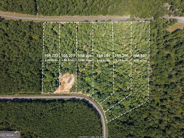 19 Acres of Recreational & Residential Land for Sale in Tignall, Georgia