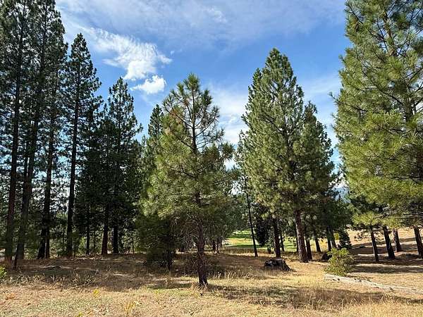 0.83 Acres of Residential Land for Sale in Portola, California