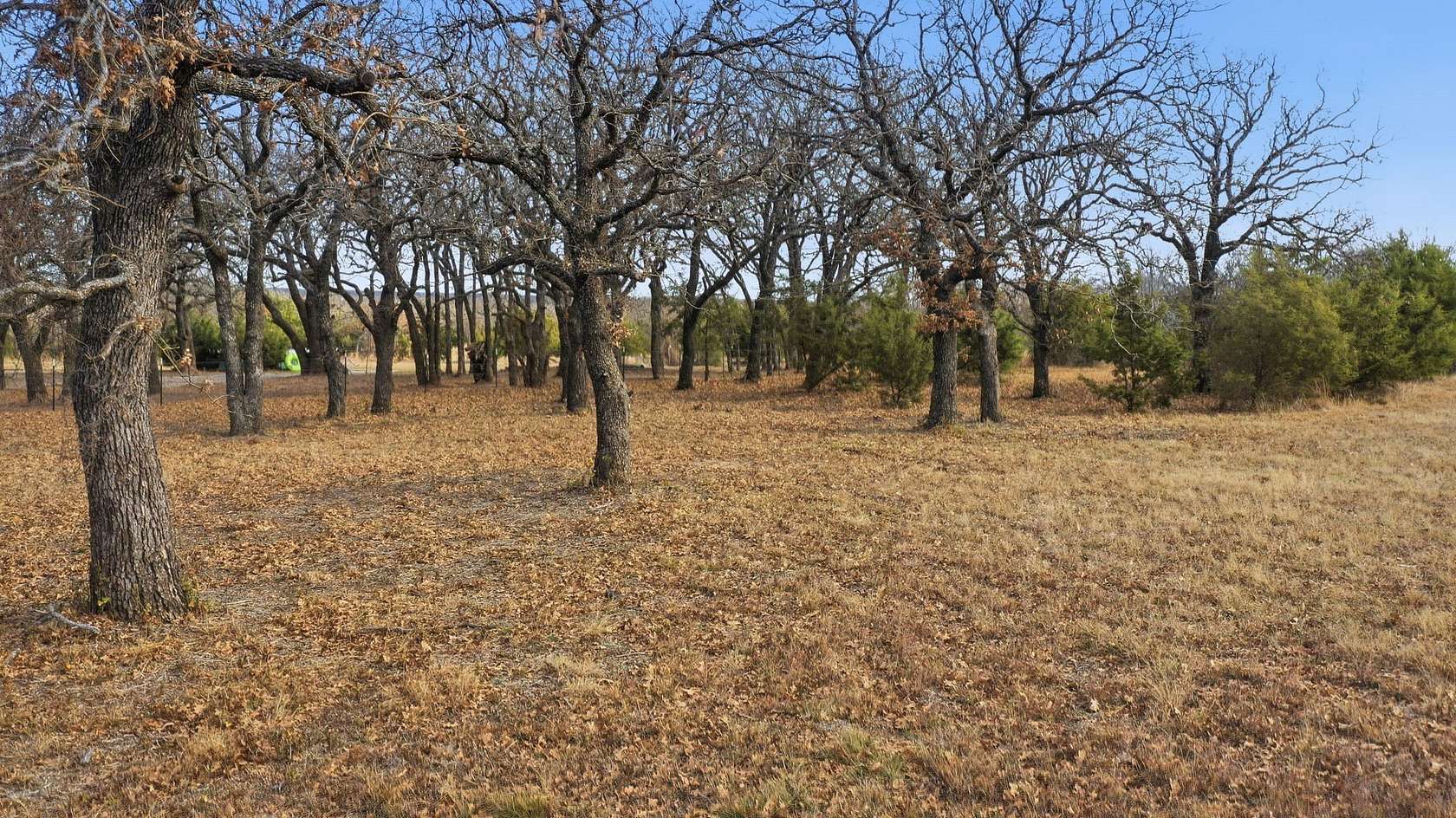 3 Acres of Residential Land for Sale in Perrin, Texas