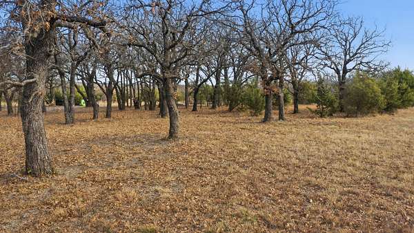 3 Acres of Residential Land for Sale in Perrin, Texas