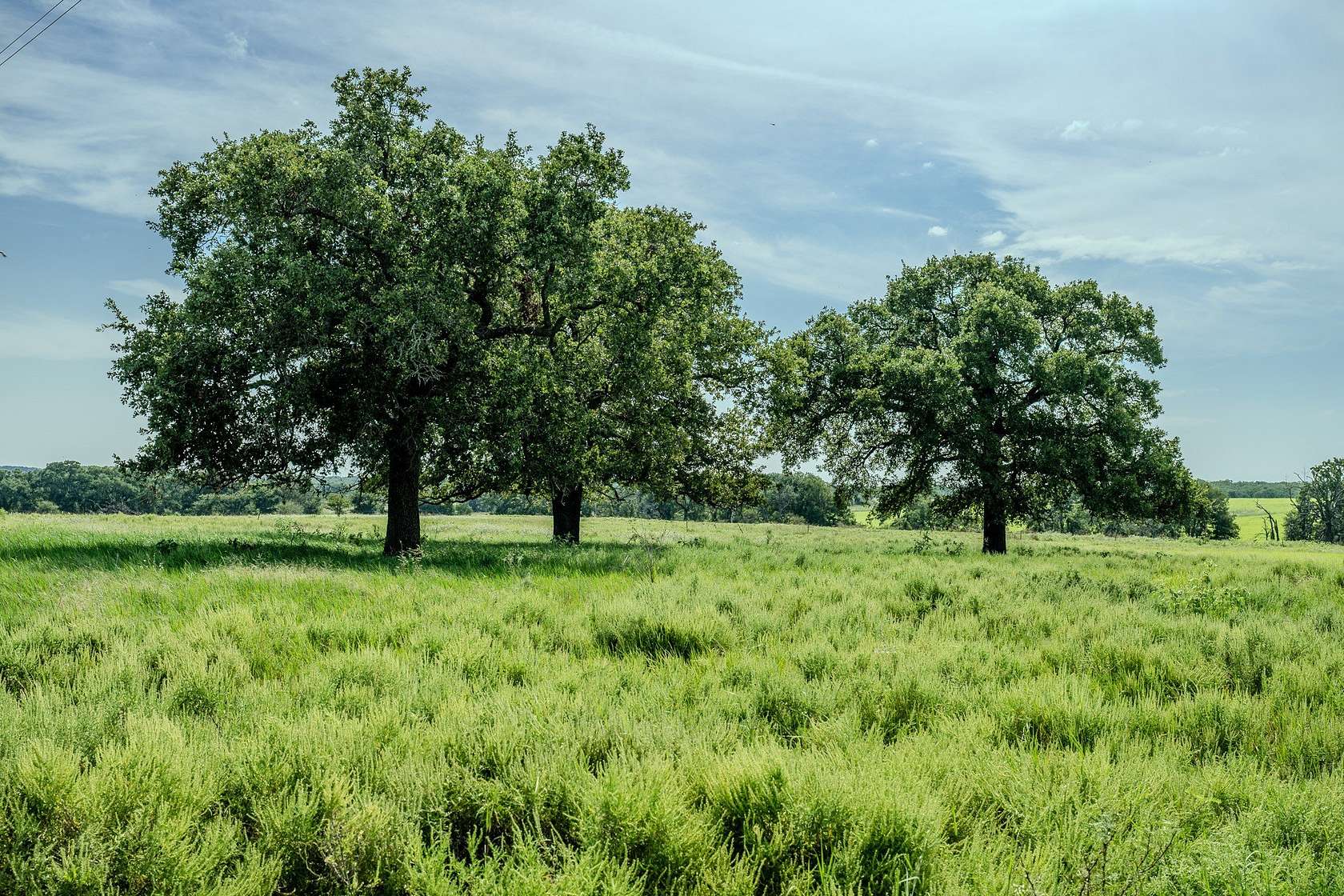 530 Acres of Land for Sale in Henrietta, Texas