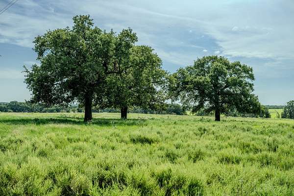 530 Acres of Land for Sale in Henrietta, Texas
