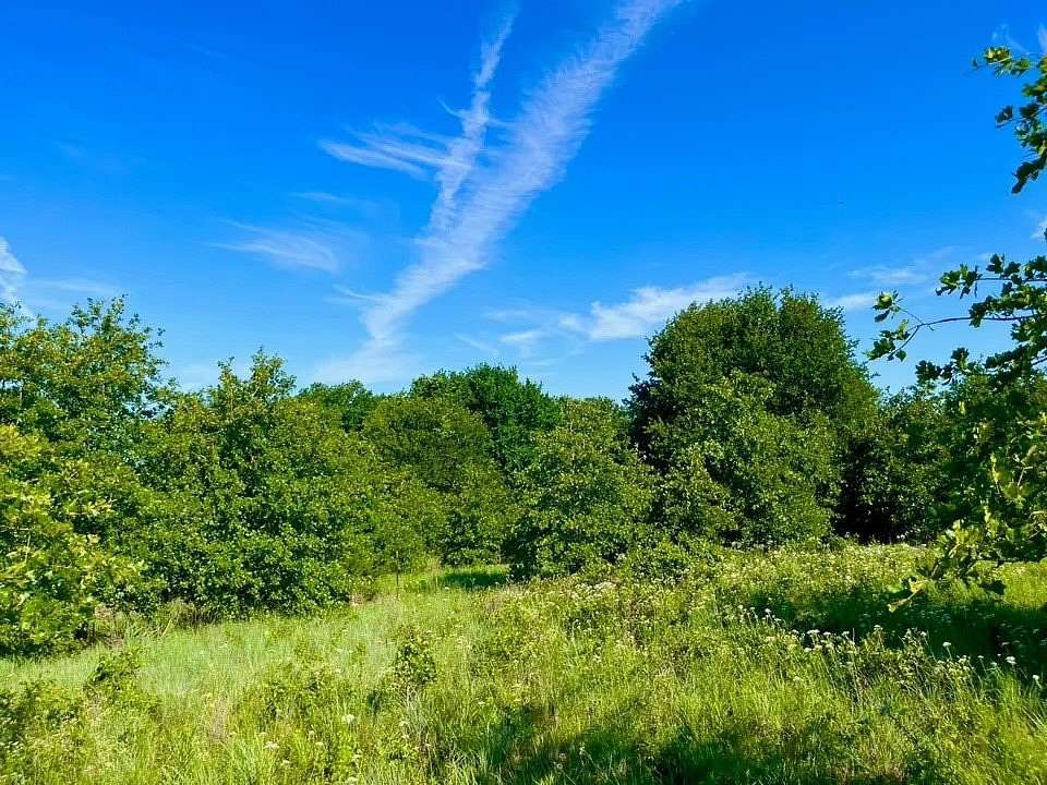 2 Acres of Residential Land for Sale in Poolville, Texas