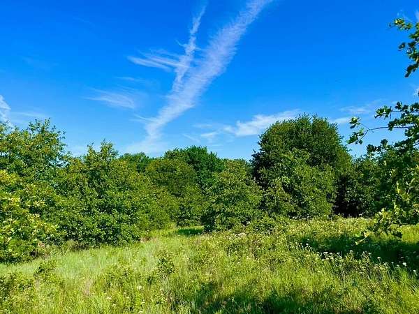 2 Acres of Residential Land for Sale in Poolville, Texas