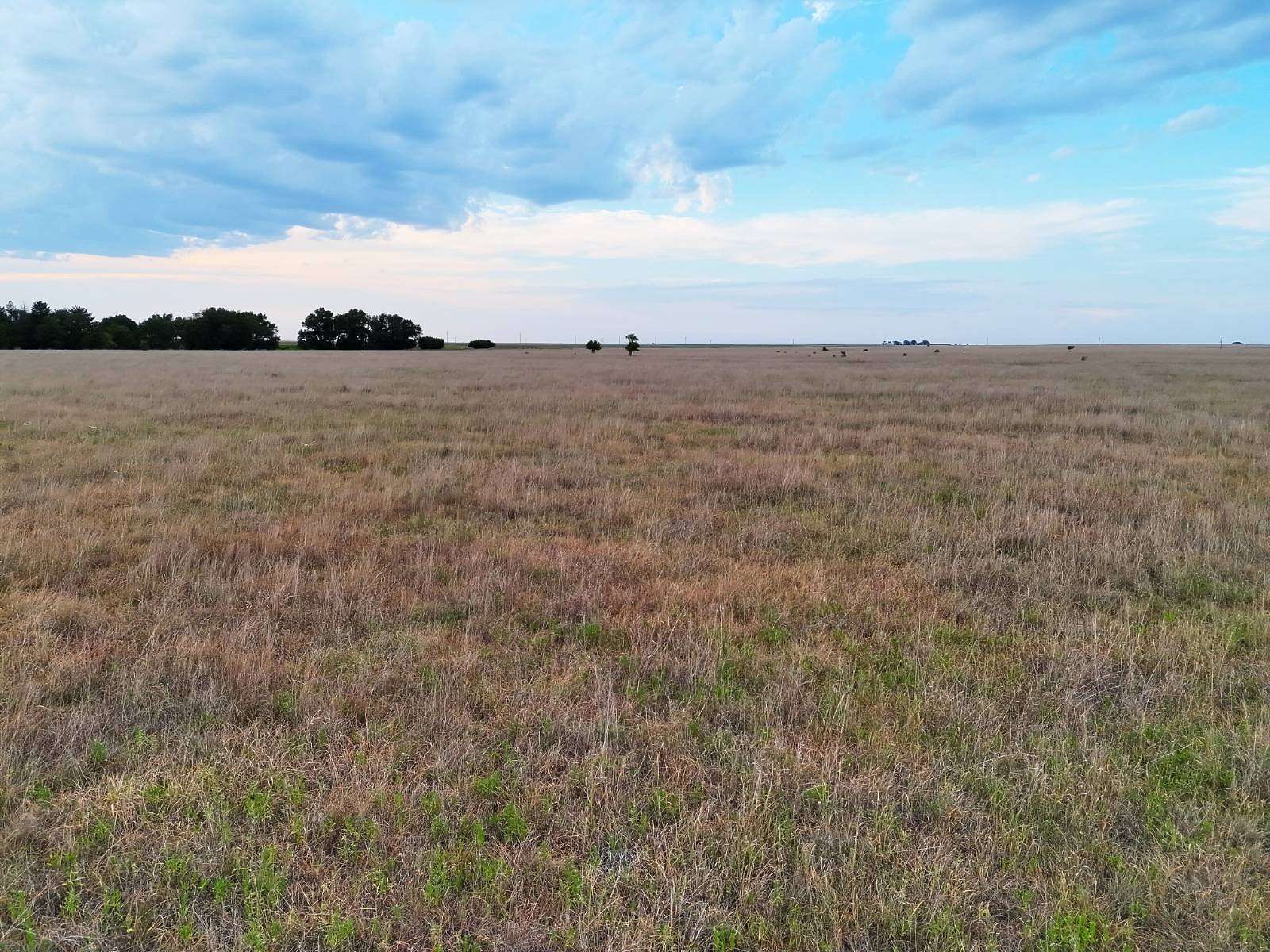 85.8 Acres of Land for Sale in Liberal Township, Kansas
