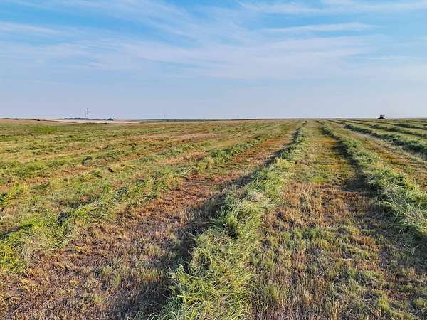 159 Acres of Land for Sale in Sharon Springs, Kansas