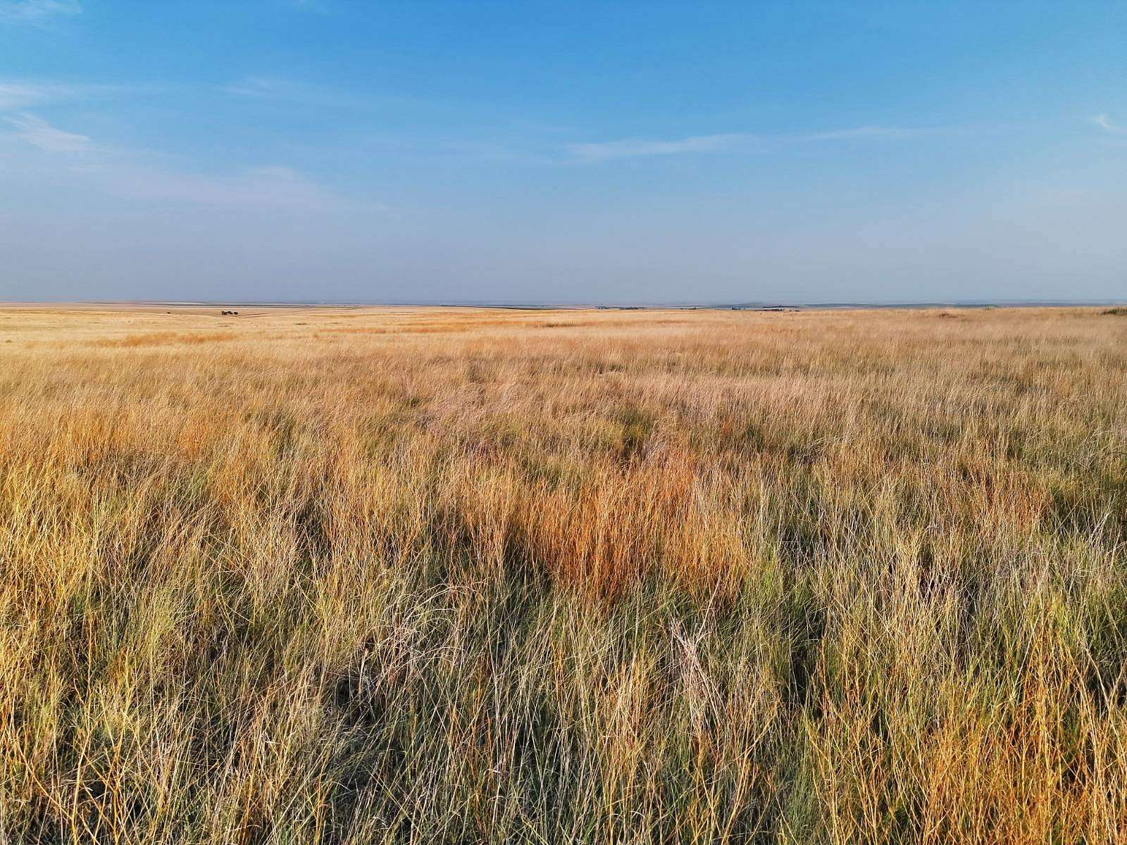 156 Acres of Land for Sale in Sharon Springs, Kansas