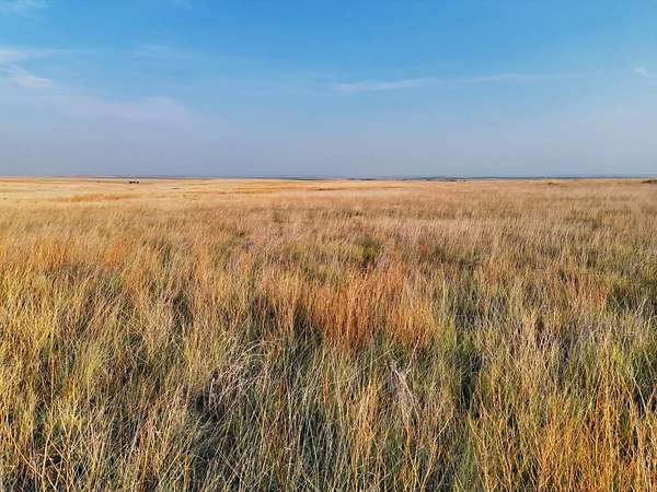 156 Acres of Land for Sale in Sharon Springs, Kansas