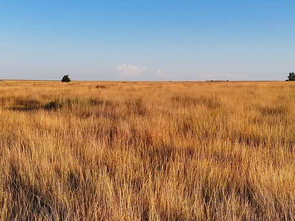 160 Acres of Recreational Land for Sale in Deerfield, Kansas