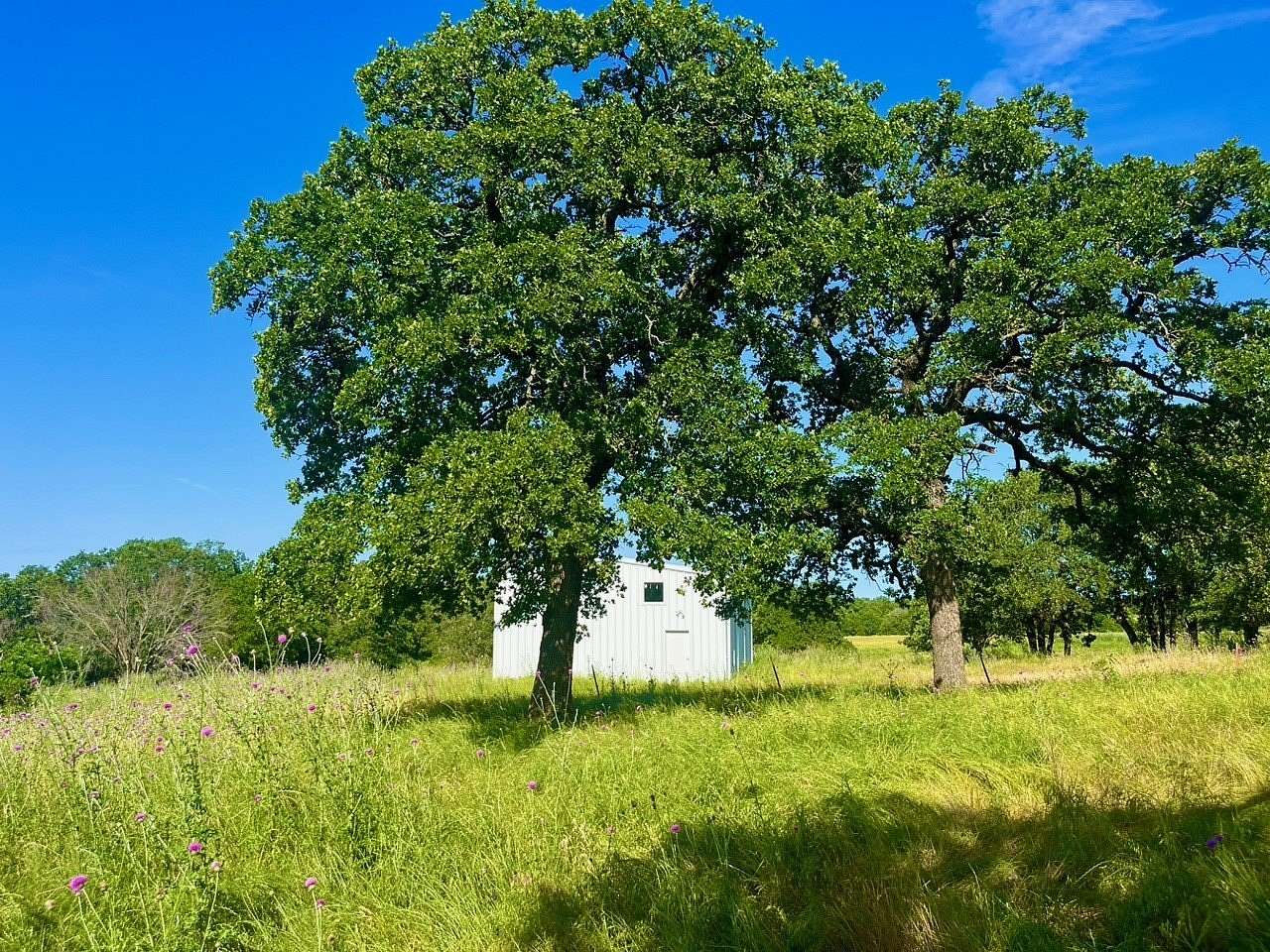 4.3 Acres of Residential Land for Sale in Poolville, Texas