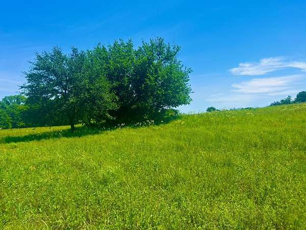2.2 Acres of Residential Land for Sale in Poolville, Texas