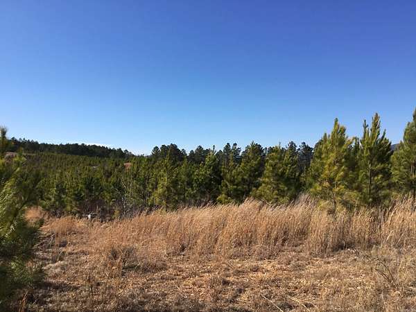 39.3 Acres of Recreational Land for Sale in Jessieville, Arkansas