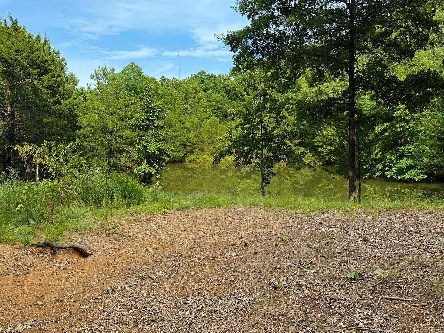 34 Acres of Recreational & Residential Land for Sale in Hartman, Arkansas