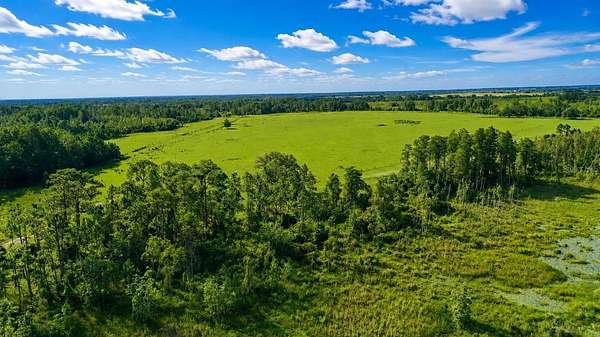 10 Acres of Land for Sale in Polk City, Florida