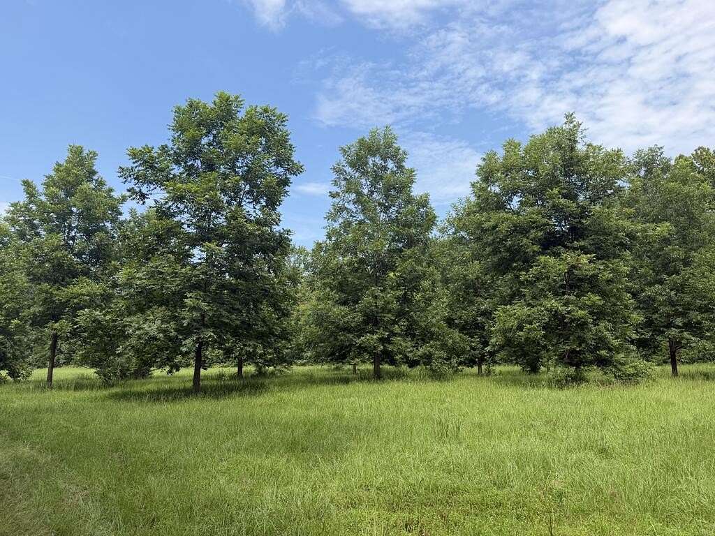 132 Acres of Recreational & Residential Land for Sale in Oxford, Mississippi