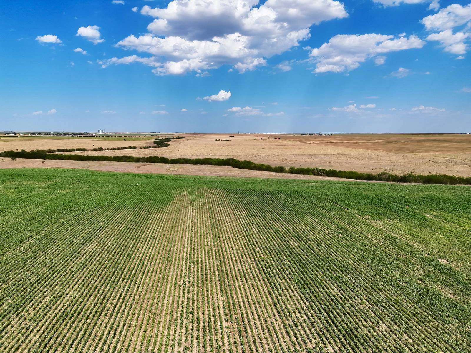 59.7 Acres of Land for Sale in Richfield, Kansas