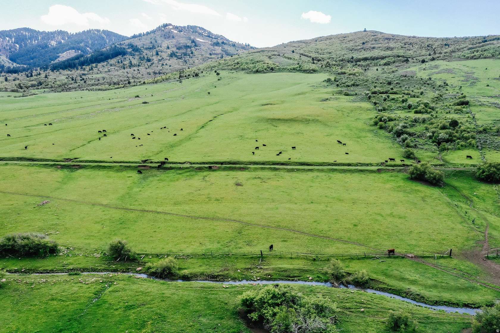 274 Acres of Agricultural Land for Sale in Preston, Idaho