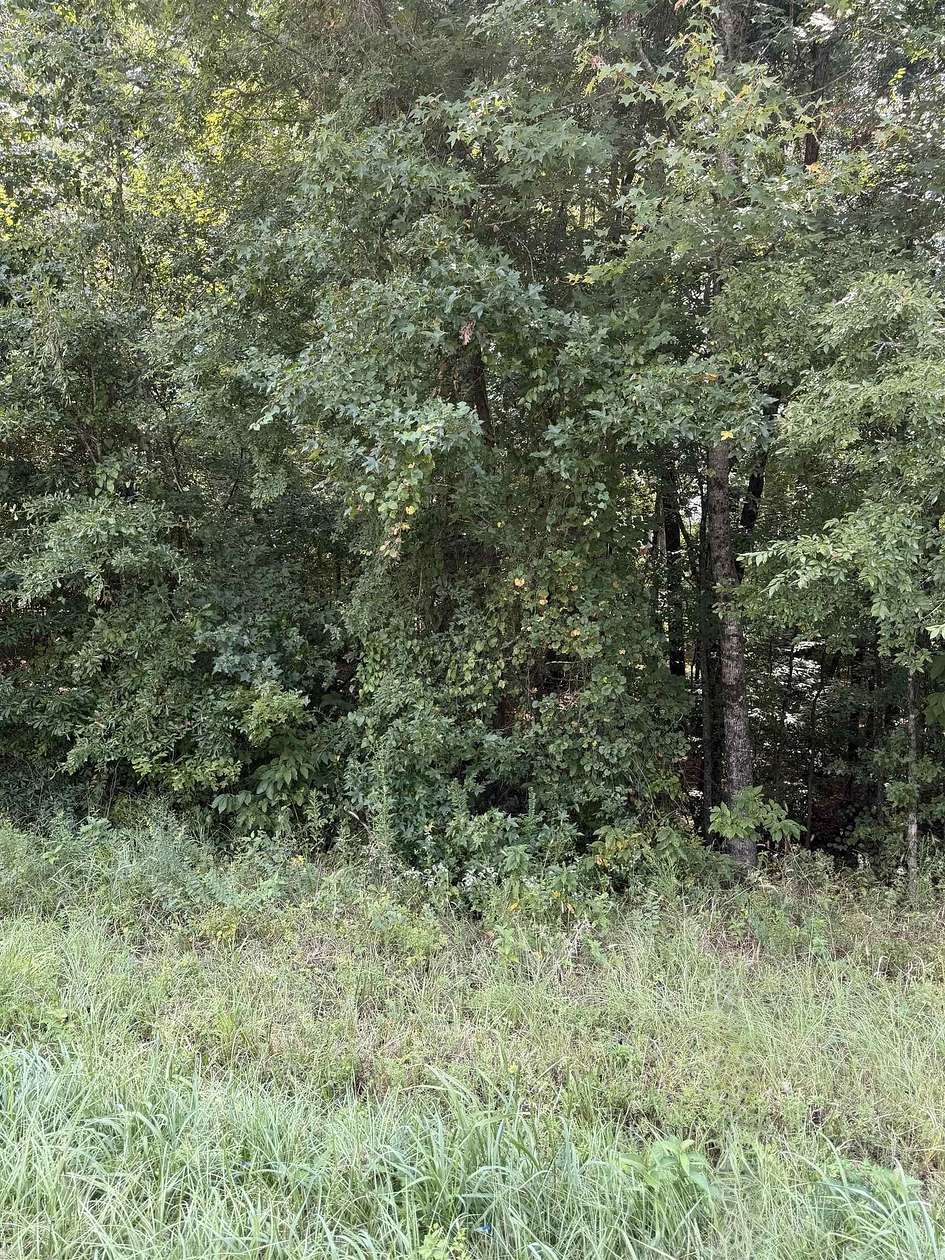 0.46 Acres of Land for Sale in Hensley, Arkansas